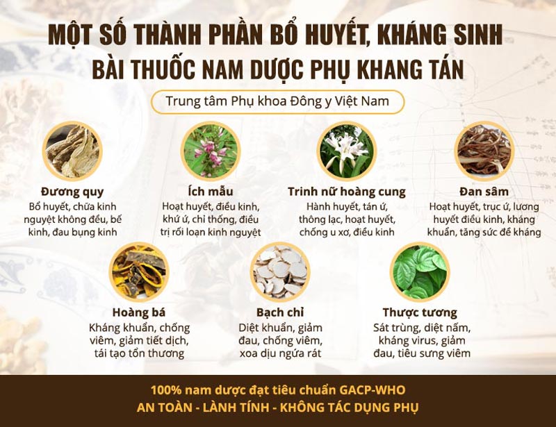 Bài thuốc là sự kết hợp của hai nhóm thảo dược Bổ huyết, Kháng sinh thực vật