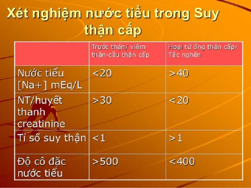 Một số thông số trong nước tiểu của bệnh nhân suy thận trước thận