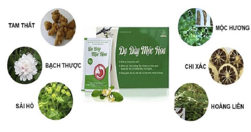 Thành phần dược liệu có trong thuốc Dạ Dày Mộc Hoa