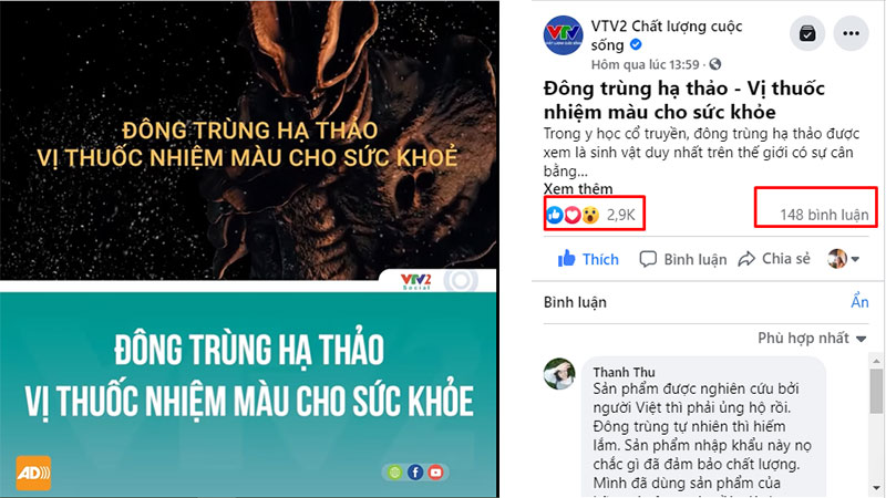 VTV2 đưa tin đông trùng hạ thảo Vietfarm là sản phẩm chất lượng của người Việt