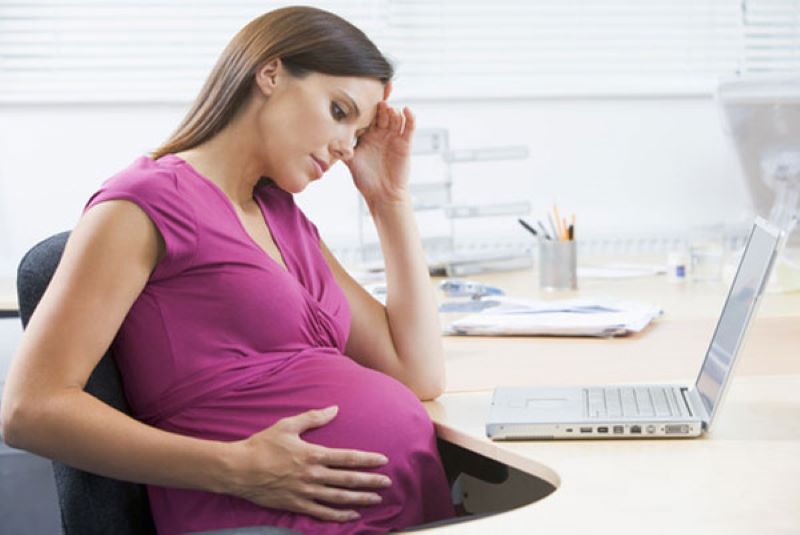 Tuyệt đối không sử dụng thảo dược này cho những phụ nữ mang thai hoặc đang nuôi con nhỏ bằng sữa