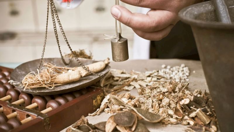 Có thể dùng dược liệu trong bài thuốc bồi bổ gan và hỗ trợ điều trị các bệnh lý về gan
