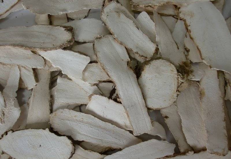 Chữa giải độc gan hiệu quả