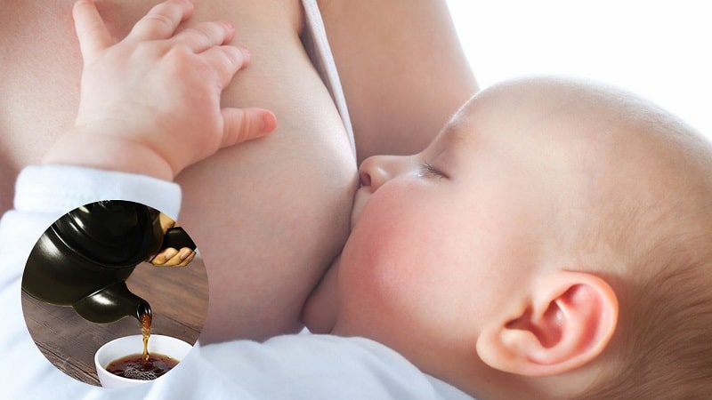 Thuốc sắc từ bông bông có thể giúp chị em lấy lại sữa nhanh chóng