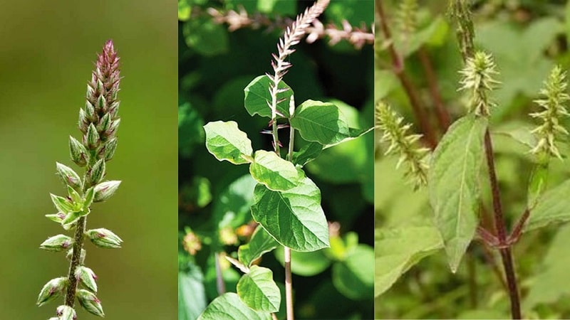 Trong quá trình sử dụng ghi nhớ một vài lưu ý