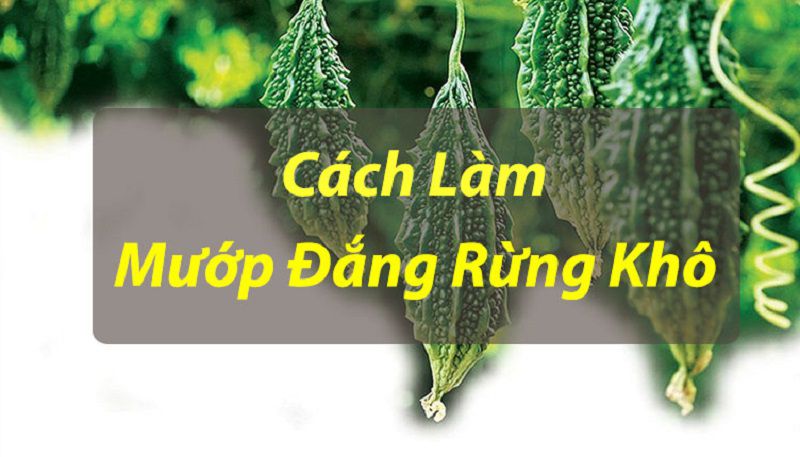 Cần làm khô trước khi bảo quản chúng