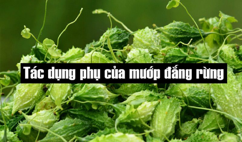 Một số tác dụng phụ ít biết nhưng nguy hiểm của cây này