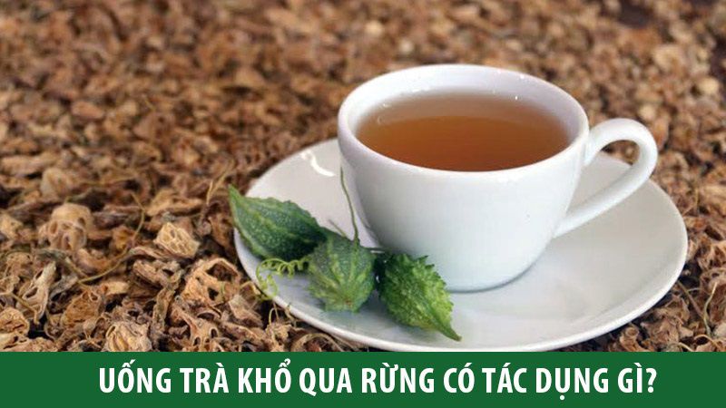 Trà mướp đắng rừng