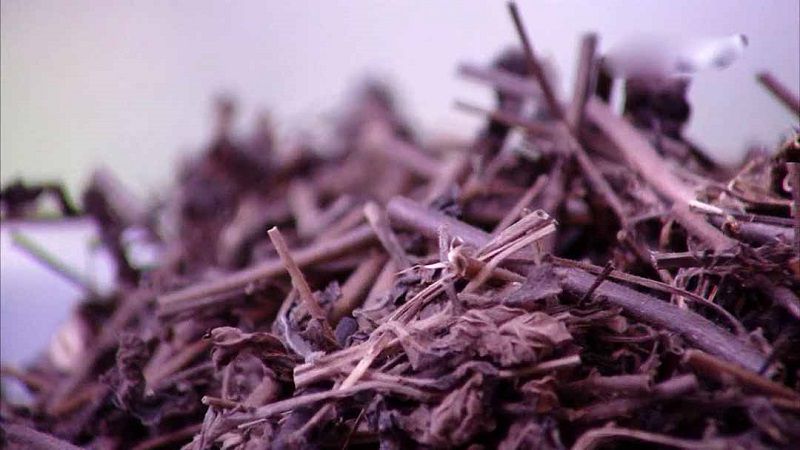 Người ta thường cắt khúc nhỏ để cho vào các bài thuốc