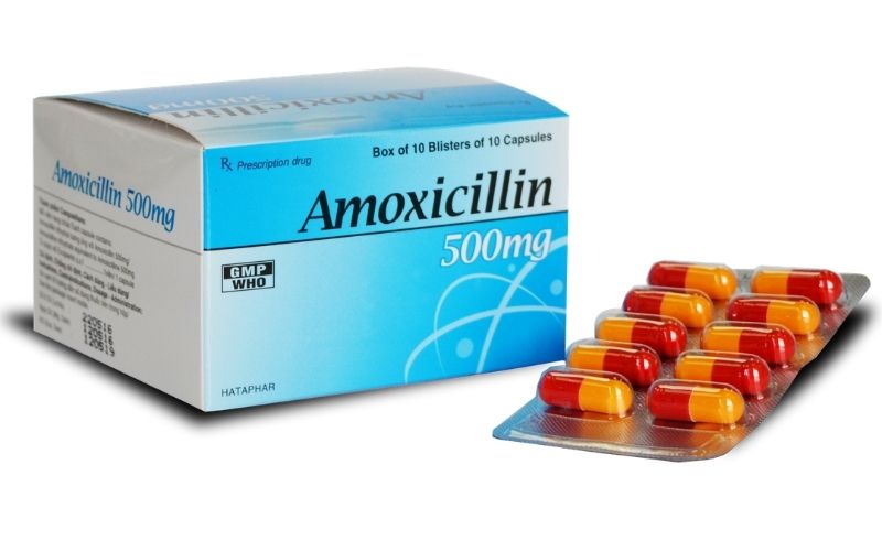 Amoxicillin là dòng thuốc kháng sinh thông dụng nhất hiện nay