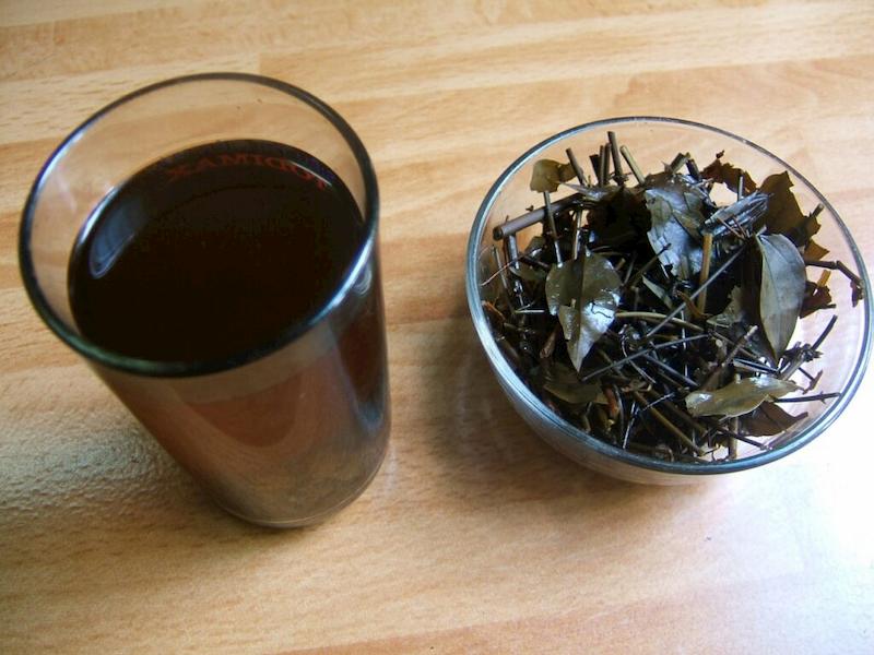 Dùng nước sắc dược liệu thường xuyên có thể giảm tình trạng máu/gan nhiễm mỡ
