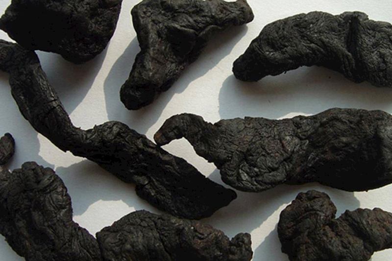 Sử dụng bài thuốc từ cây địa hoàng có tác dụng bồi bổ, nâng cao sức khỏe