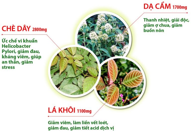 Tác dụng của 3 loại dược liệu quý