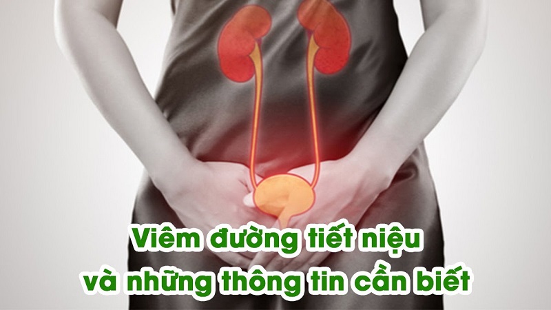 Khi bị viêm đường tiết niệu cần lưu ý về cách sử dụng thuốc và chăm sóc