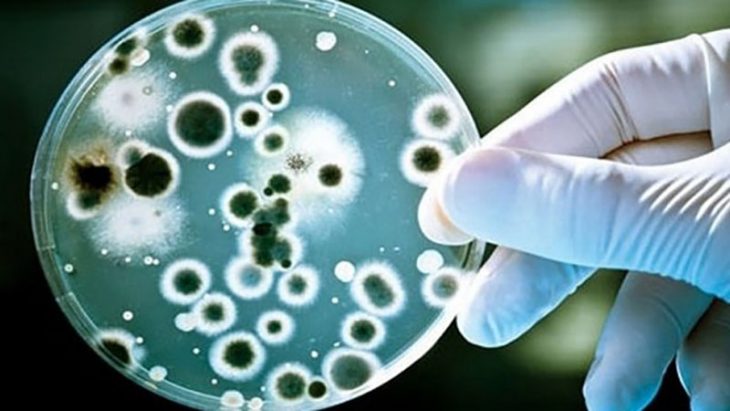 Đau bụng sau khi ăn có thể là do nhiễm khuẩn