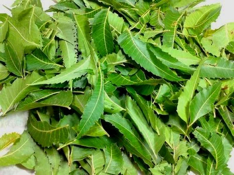Dùng dược liệu thường xuyên có thể trị gầy và kích thích tóc mọc nhanh