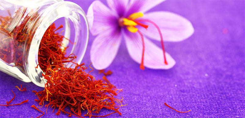 Nên kiểm tra nhụy hoa nghệ tây trước khi sử dụng