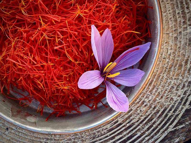 Nhụy hoa nghệ tây Iran hay còn được gọi là Saffron Iran có màu đỏ cam đặc trưng, dễ nhận biết