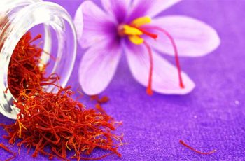 Nhụy hoa nghệ tây mua ở đâu? Review 5 địa chỉ uy tín nhất