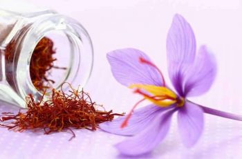 Nhụy hoa nghệ tây trị mụn được không? Cách dùng như thế nào?