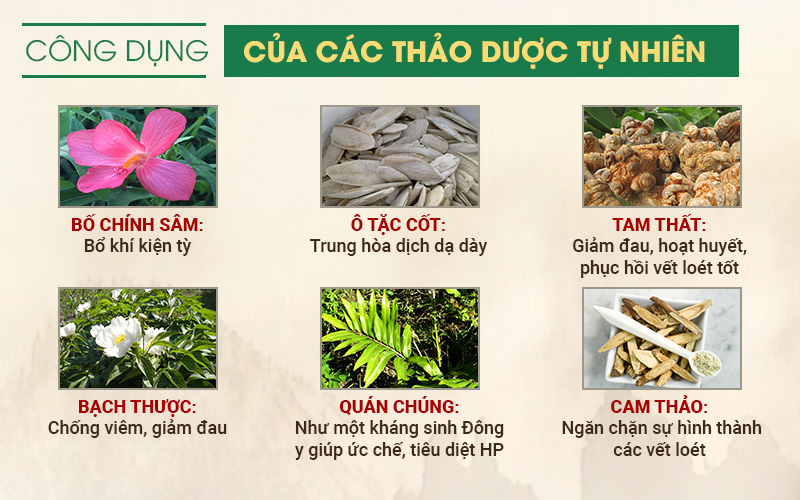 Thành phần bài thuốc Sơ can Bình vị tán