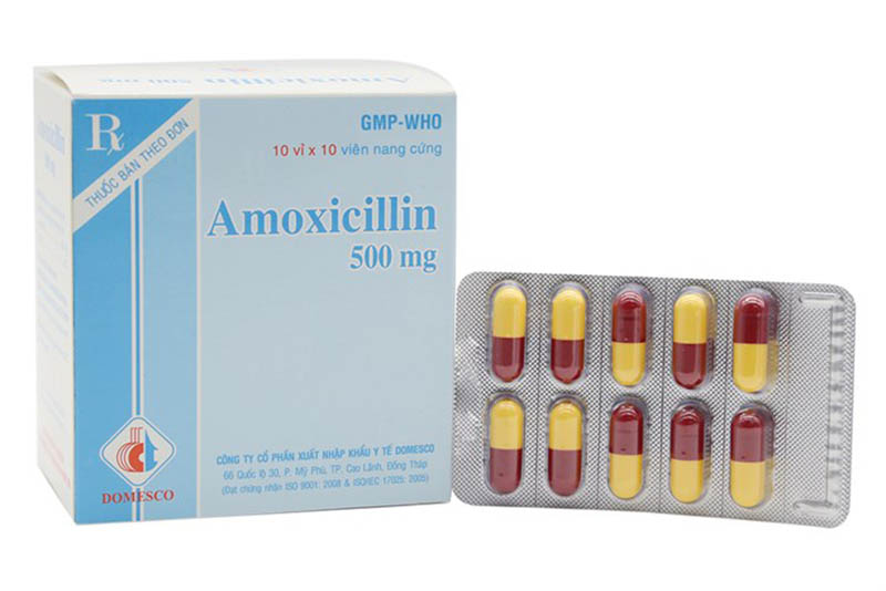 Thuốc chữa viêm lợi Amoxicillin 500mg có giá bán lẻ khoảng 1000 vnđ/ viên