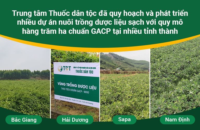 Hình ảnh vườn dược liệu của Thuốc dân tộc