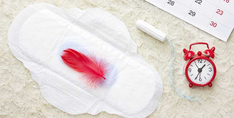Ứng dụng cây cốt khí trong việc điều trị đau bụng do rối loạn kinh nguyệt