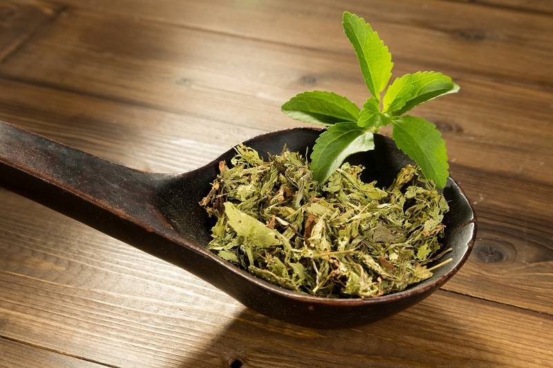 Cỏ ngọt đem lại rất nhiều lợi ích cho sức khỏe của người dùng.
