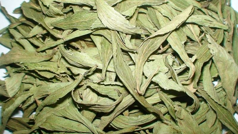 Tìm mua dược liệu tại các cơ sở phân phối uy tín, đảm bảo chất lượng và nguồn gốc rõ ràng.