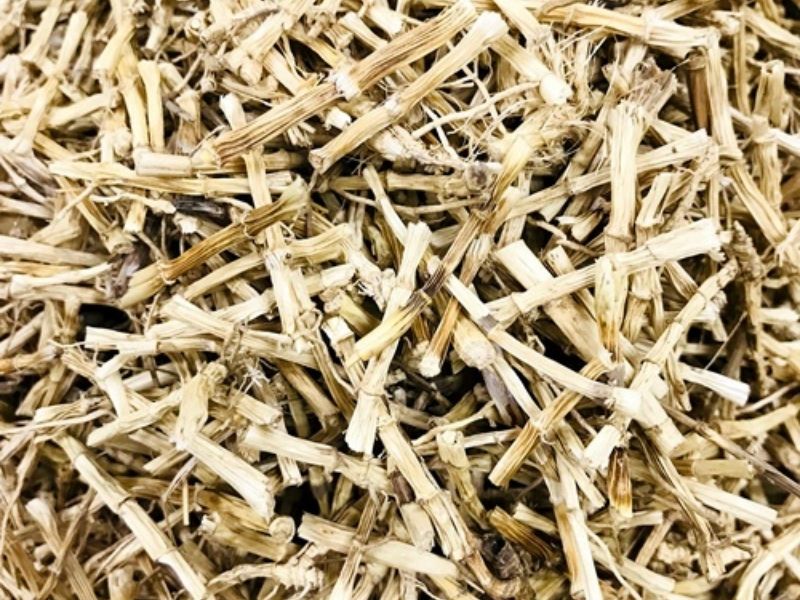 Dùng dược liệu trị ho cũng rất hiệu quả