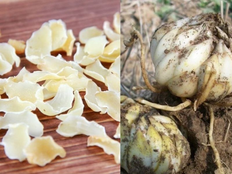 Lưu ý trong quá trình sử dụng tránh tác dụng phụ