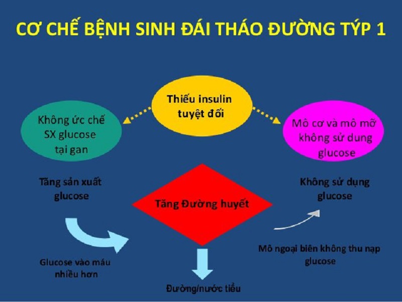 ệnh tiểu đường phụ thuộc insulin chính là đái tháo đường tuýp 1