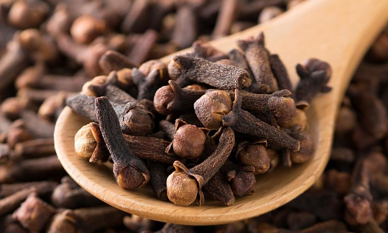 Đinh hương có nhiều tác dụng có lợi cho sức khỏe