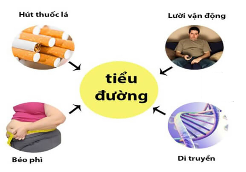 Đây là những nguyên nhân gây ra bệnh tiểu đường tuýp 2