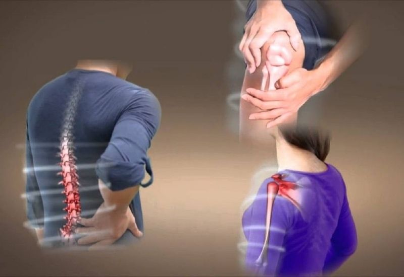 Những người bị đau lưng, mỏi gối có thể áp dụng bài thuốc từ hà thủ ô trắng