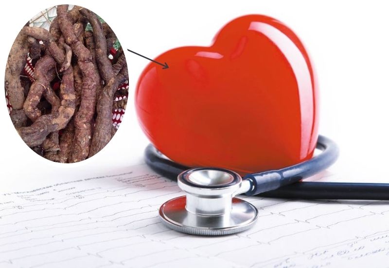 Dược liệu có rất nhiều tác dụng tốt đối với sức khỏe con người