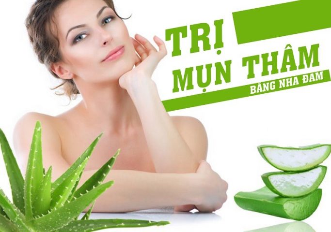 Cách trị thâm mụn bằng nha đam được nhiều người tin dùng