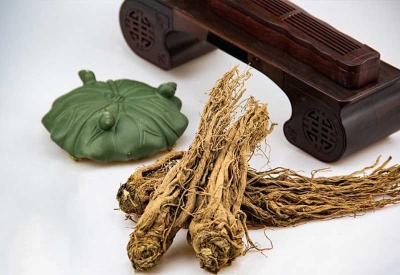 Sâm quy là vị thuốc quý chữa được nhiều bệnh 