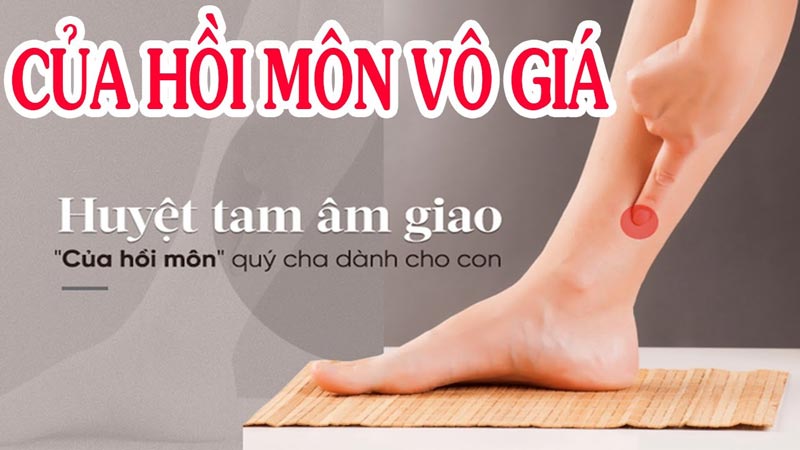 Châm cứu bấm huyệt tam âm giao mang đến nhiều tác dụng cho sức khỏe