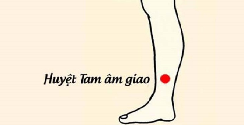 Huyệt tam âm giao có công năng điều hòa thần kinh