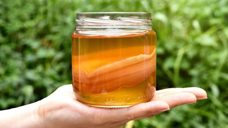 Trà Kombucha là một loại trà lên men cung cấp nhiều enzyme và vitamin có lợi cho sức khỏe