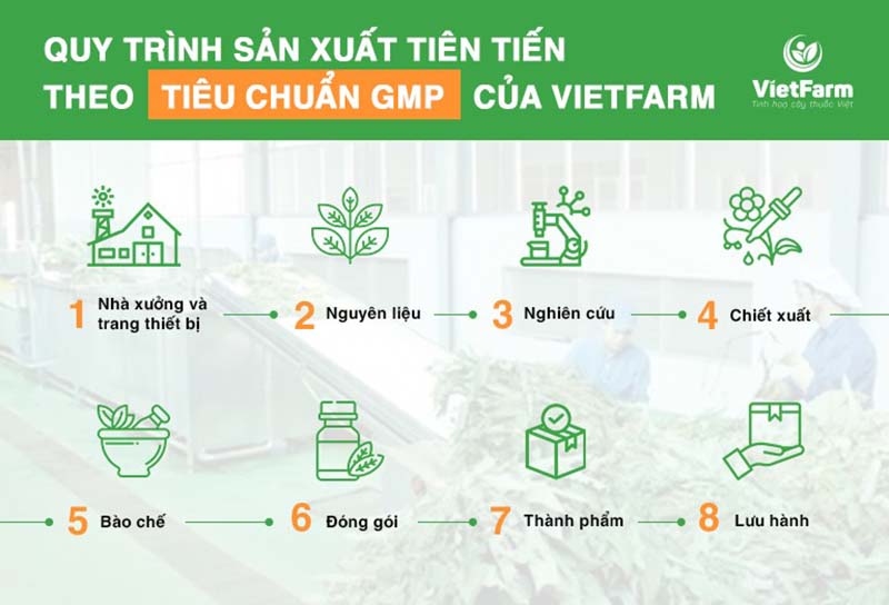 Quy trình bào chế dược liệu trong nhà máy đạt chuẩn GMP của Vietfarm