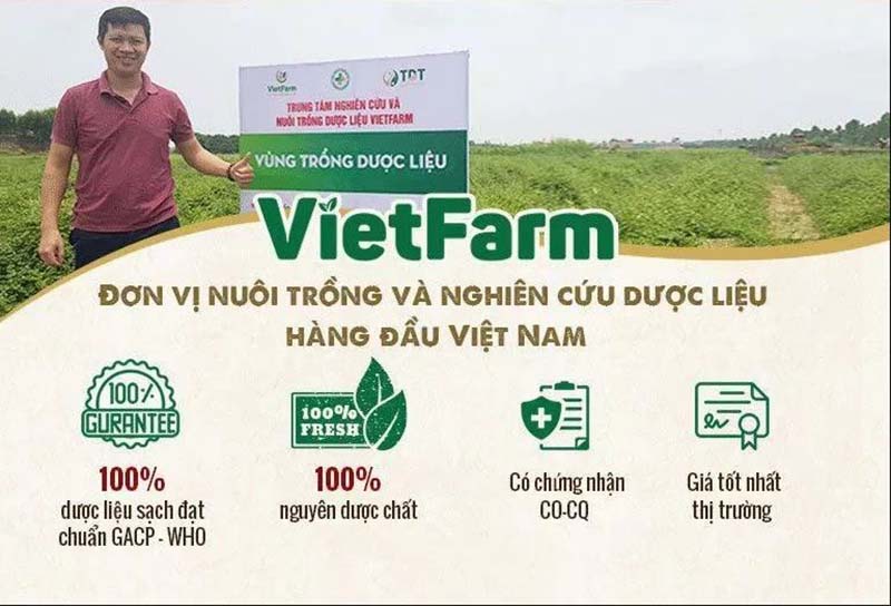 Vietfarm sở hữu hơn 100 vùng trồng dược liệu đạt chuẩn GACP - WHO