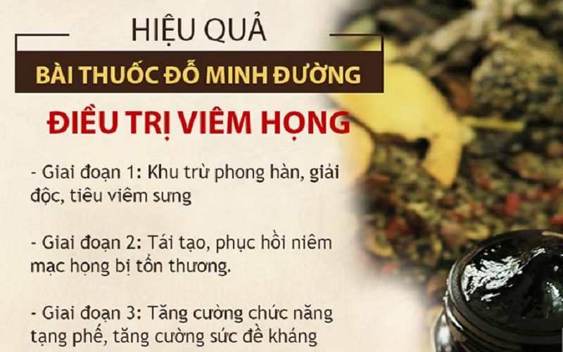 Bài thuốc chữa viêm họng của Đỗ Minh Đường