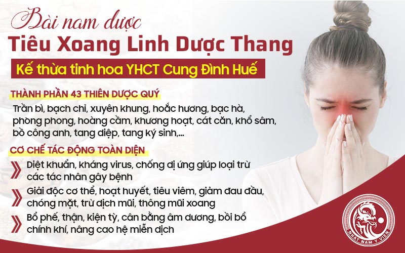 Thành phần, công dụng bài thuốc Tiêu xoang linh dược thang