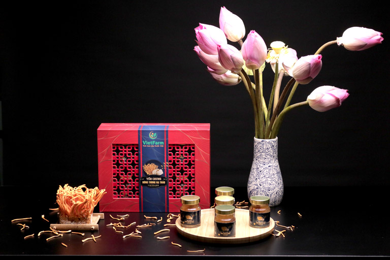 Yến chưng đông trùng hạ thảo Vietfarm - Sản phẩm được giới phụ huynh ưa chuộng hiện nay