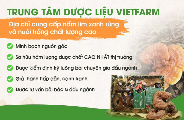 Nấm lim xanh Vietfarm sở hữu nhiều ưu điểm vượt trội hơn hẳn những đơn vị khác