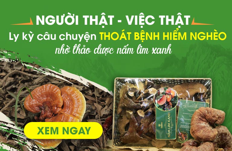 Li kỳ 1001 câu chuyện "thoát" bệnh hiểm nghèo chỉ từ nấm lim xanh!