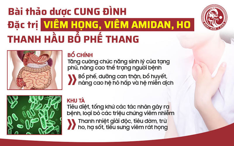 Cơ chế điều trị toàn diện của Thanh hầu bổ phế thang